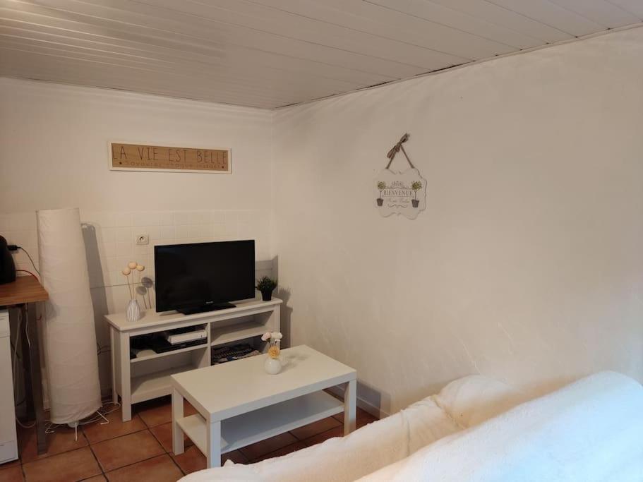 Appartement En Rez De Jardin Et Terrasse Ds Villa Hyères Exterior foto